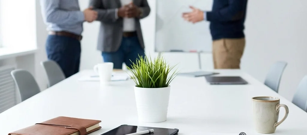 CFO vs. Financial Consultant vs. Fractional CFO: Which Is Better For Your Growing Business?